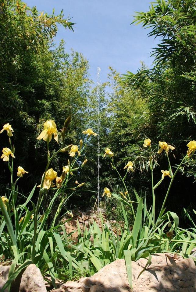 Dal Canonico Ferienhaus